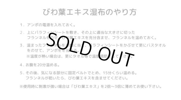 画像2: 【8月下旬入荷予定】びわ葉エキス湿布セット　温熱アンポ付 (2)